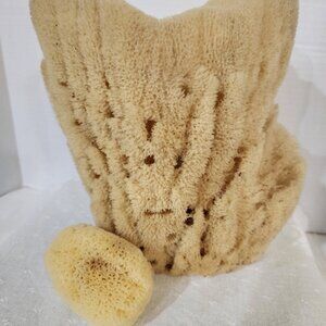 Hard to Find Large Natural Sea Sponge 8.25 In x 7.5 in.
